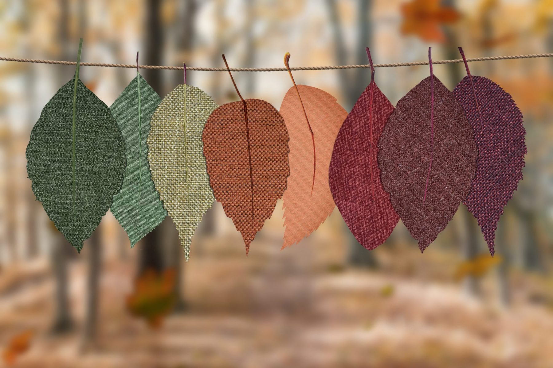 Hanging leaves